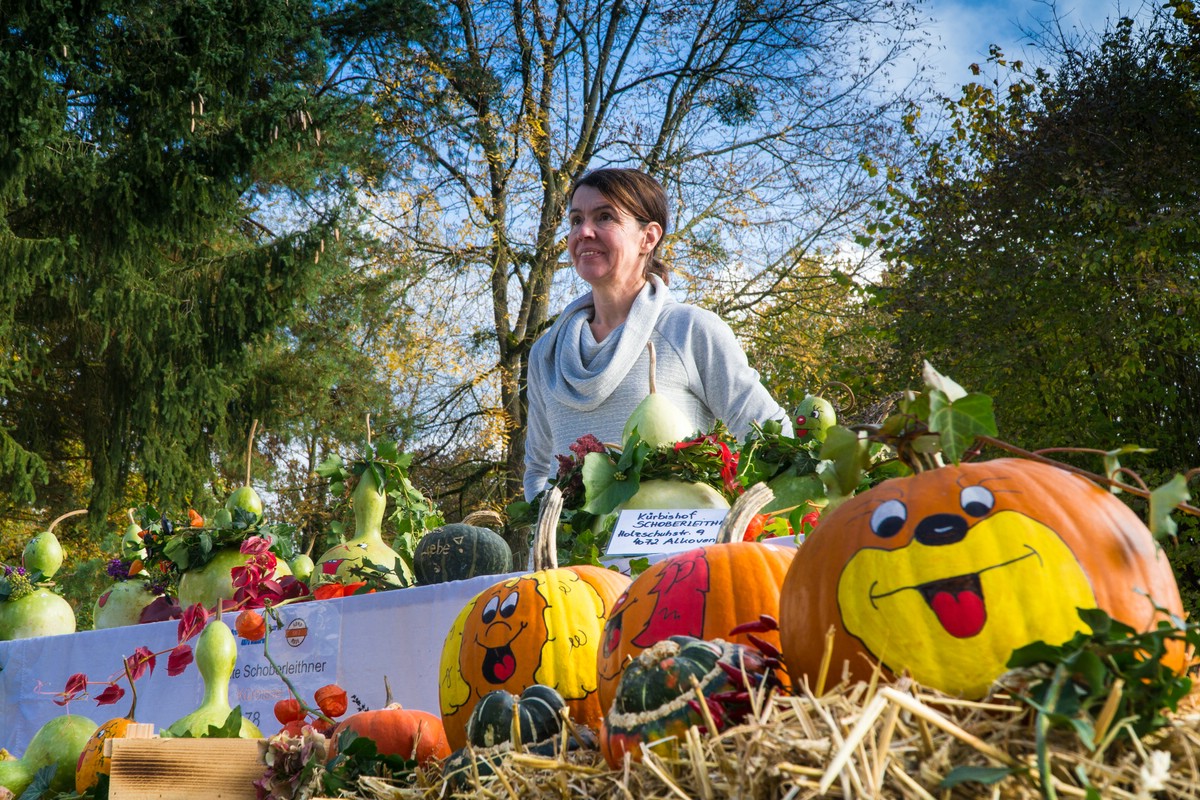 O Fotomagazin / Handwerksmarkt Wilhering 2016